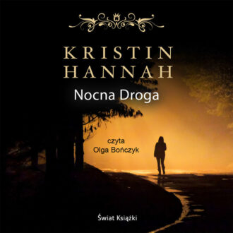 Nocna droga (audiobook)