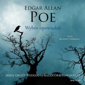 Wybór opowiadań (audiobook)